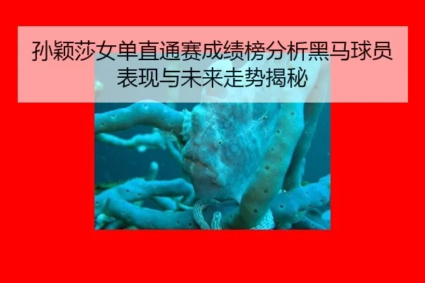 孙颖莎女单直通赛成绩榜分析黑马球员表现与未来走势揭秘