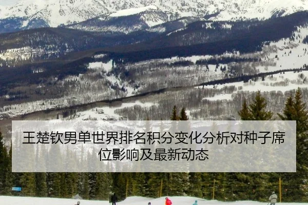 王楚钦男单世界排名积分变化分析对种子席位影响及最新动态
